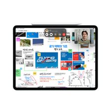 Apple Pencil Pro 애플펜슬 프로 MX2D3KH/A_추가이미지