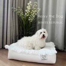[SET] 애견 호텔침구 세트 Henry the dog 솜포함 세트 XL