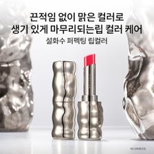 설화수[3월]퍼펙팅 립컬러 3g_추가이미지