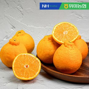 [제주위미농협] 제주직송 한라봉 3kg (6-15입 내외)_추가이미지