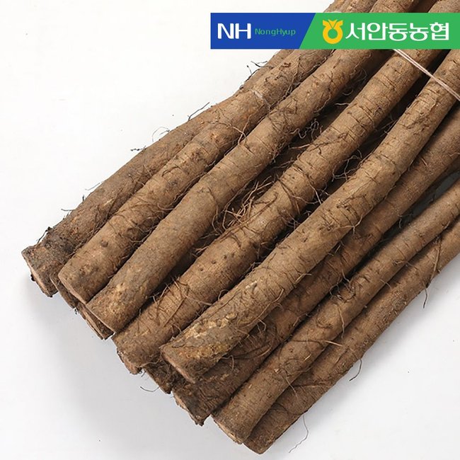 더조은푸드 | [서안동농협] 국내산 우엉 알뜰(차용) 2kg | 갤러리아몰