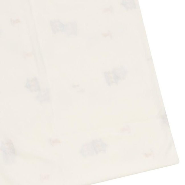 델루카속싸개(A2C-10906) 추가 이미지