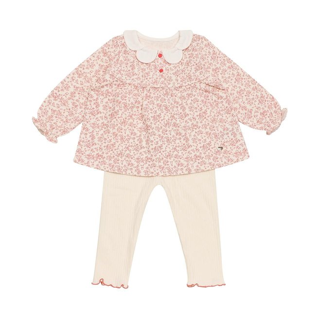 주이상하(A25-13004) 추가 이미지