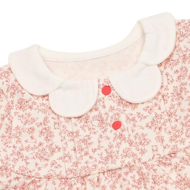 주이상하(A25-13004) 추가 이미지