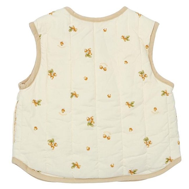 (압소바출산,백일,돌,유아패딩조끼,압소바조끼)프레디약패딩베스트(A25-23501) 추가 이미지