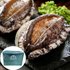 해신수산 완도활전복 특대 10∼11미 1kg/고급선물포장 기본 이미지